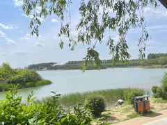 -丁香湖公园