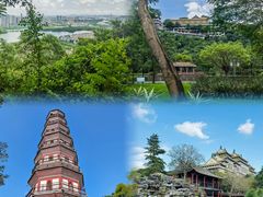 -顺峰山公园