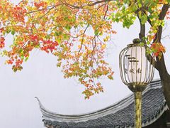 -老门东历史文化街区