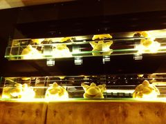 -哈尔滨索菲特大酒店-意日本料理铁板烧