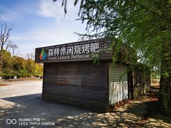 -上海海湾国家森林公园