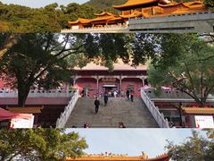 -深圳仙湖植物园