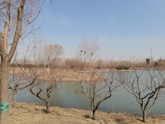 -东郊湿地公园