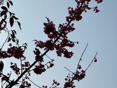 -福建鲤鱼洲酒店