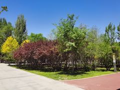 -哈尔滨文化公园