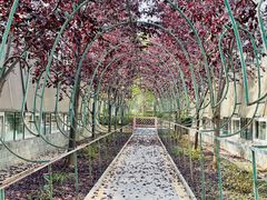 -南宫五洲植物乐园