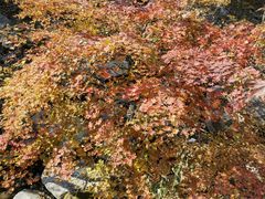 -丹东市五龙山风景区