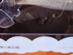 -津乐园(芥园道店)