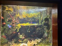 -太平洋海底世界