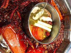 -蜀九香火锅(九眼桥店)