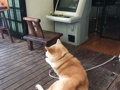景观位-久馆NineHouse