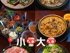 -滇野云南野生菌餐厅(陕西南路店)