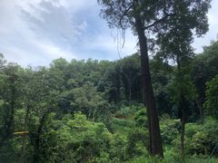 -广州市白云山风景名胜区