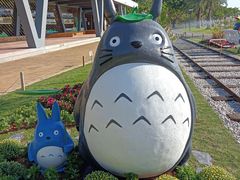 -野狸岛
