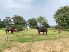-北京西山国家森林公园