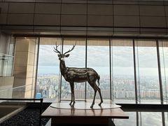 -北京柏悦酒店·锦庭餐厅Dining Room