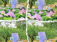 -名花谷生态庄园