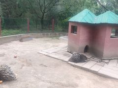 -青藏高原野生动物园