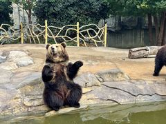 -常州淹城野生动物世界