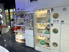 -小猫来了·猫咪专售(红山六九七九店)