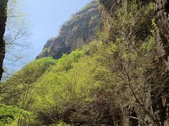 -野三坡百里峡景区