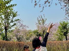 -广东花都湖国家湿地公园