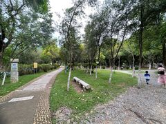 -东莞市大岭山森林公园