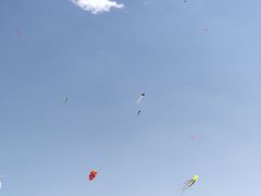 -丁香湖公园