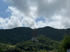 -深圳仙湖植物园