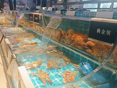 -渔纬港海鲜自助餐厅(湖里万达店)