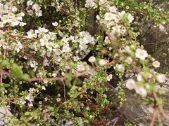 -凯德广场(西城店)