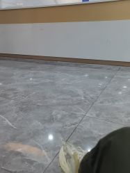 -碧莲盛·不剃发植发