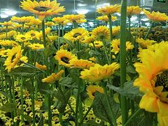 -天津梵高星空艺术馆(天河城旗舰店)