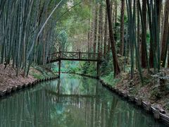 -同里国家湿地公园