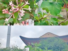 -西宁市东关清真大寺