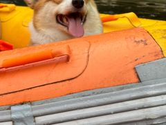 -安吉龙王山峡谷漂流