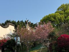 -乌山风景区