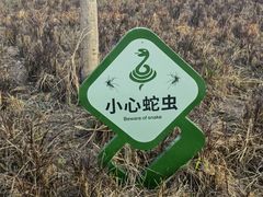 -白石龙音乐公园