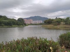 -飞来湖湿地公园