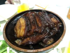 -食家鸽园