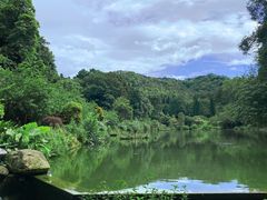 -深圳仙湖植物园