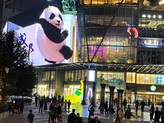 -合景·悠方(成都店)