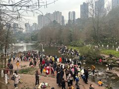 -重庆彩云湖湿地公园