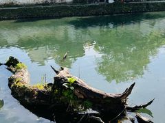 -宏村-南湖书院