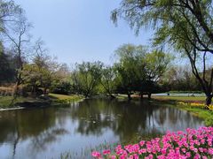 -上海滨江森林公园