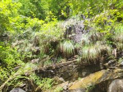 -雅鲁激流探险漂流