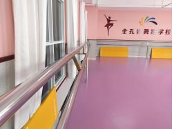 -金孔雀舞蹈学校