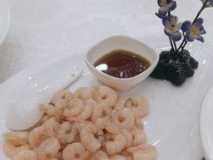 -高东镇樱花园