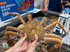 -鹏欣水游城