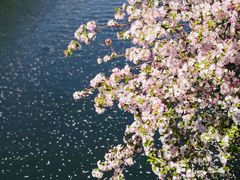 -海棠花溪(元大都城垣遗址公园)